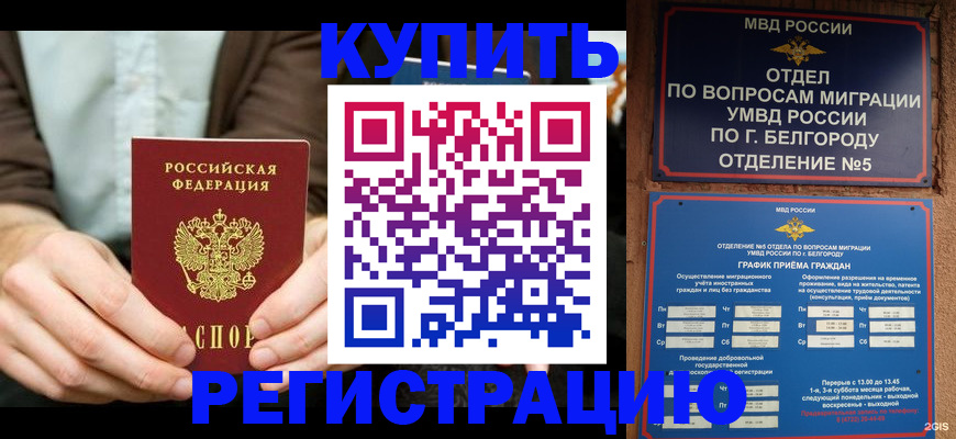 прописка 2025 в Невеле